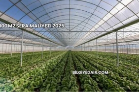 100 m2 Sera Maliyeti 2025